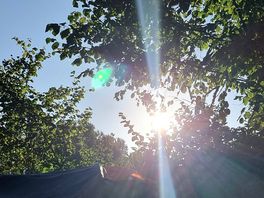Beautiful mornings