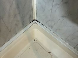 Mould