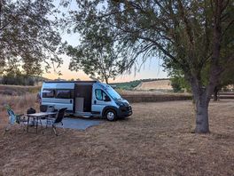 Pitches amongst the trees
