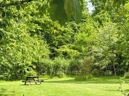 Small meadow