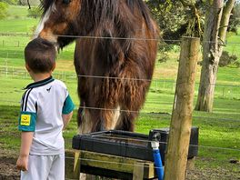My little boy loved meeting the horses.