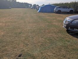 Level clean site