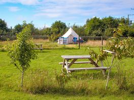 Tent pitches with beautiful wild seating area