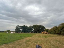 Lovely view from our pitch looking at the oaks.