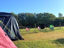 Morning view