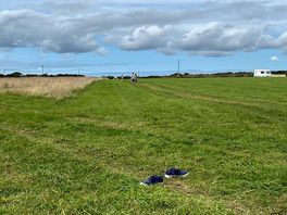 The field