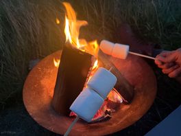 Toasty