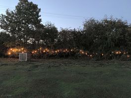 Fairy lights mark the edge of the field