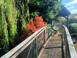 Lovely bridge