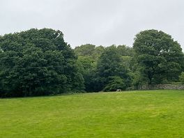 The view over the grounds