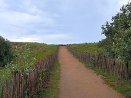 Weg durch die dünen zum strand