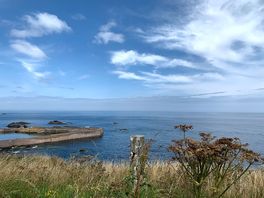St abbs coastal walk we saw dolphins here.