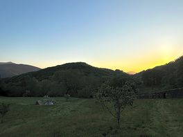 Sunrise over orchard