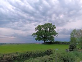 Fab views