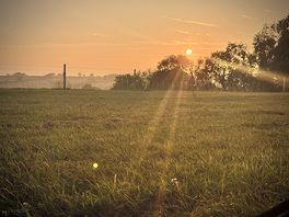 Sunset across the field