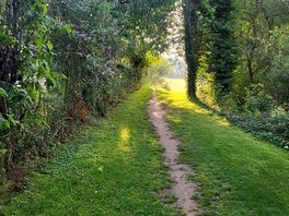 Such a beautiful little footpath to walk along next to the lakes