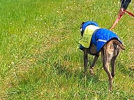 Lovely walks