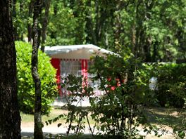 Pitches surrounded by trees