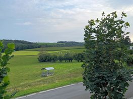 Ausblick