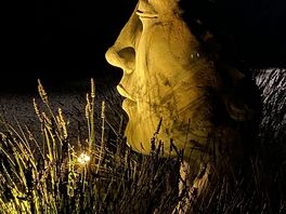 Le visage en terre…