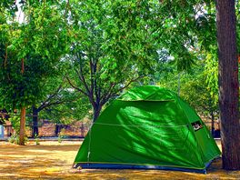 Large pitches under the trees