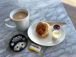 A treat by the abbey