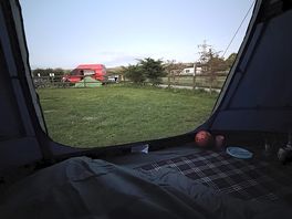Field