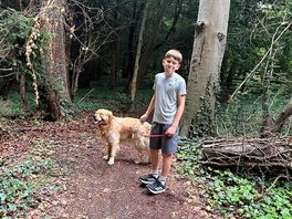 Ridgeway walk