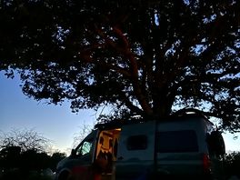 Starry skies