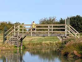 Bridge