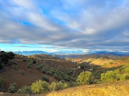 The view in the morning