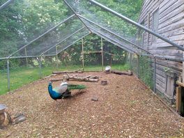 Farm