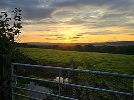 Sunrise down the lane
