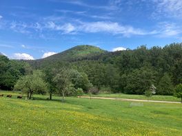 Local walk.