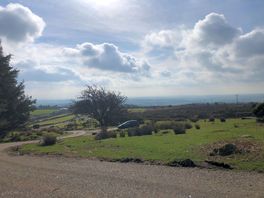 Wheal tor