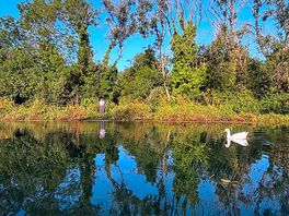 Early morning paddleboard