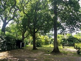 Campsite