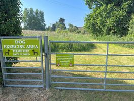 Dog-walking field