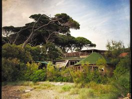 Die alte anlage im wald…