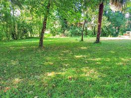 Pitches shaded by trees
