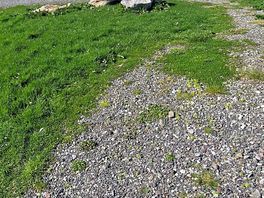 Campsite