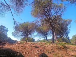 Great scenery.