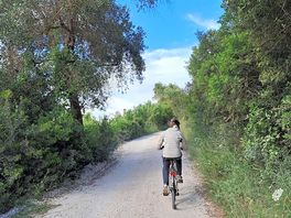 Strada che collega il porto di cavo al campeggio