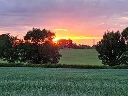 Sunset view