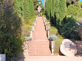 Botanischer garten