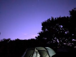 Stars!