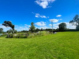 Camping field