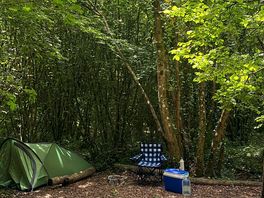 Second pitch in the peaceful wood