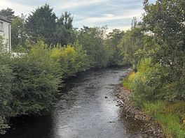 Lovely bridge view