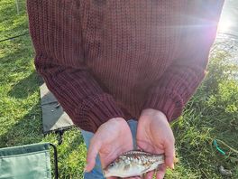 Our catch by the wife